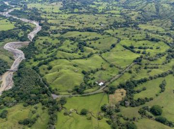 Terreno / Lote , Tonosí · 178 Acres en Venta Cerca de Cambutal, Provincia de Los Santos – Sobre La Vía Principal