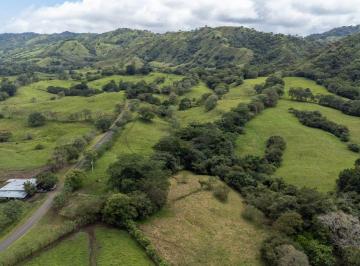 Terreno / Lote , Tonosí · Finca de 24 Acres en Venta Cerca de Cambutal y Guanico, Provincia de Los Santos