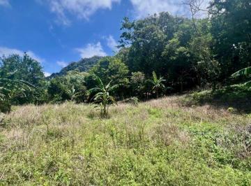 Terreno / Lote , San Carlos · Amplio Terreno de Montaña en La Laguna