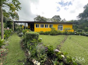 Apartamento de 1 habitación, Boquete · Apartamento de 1 Habitación Totalmente Amueblado con Jardín en Alquiler en Alto Quiel, Boquete