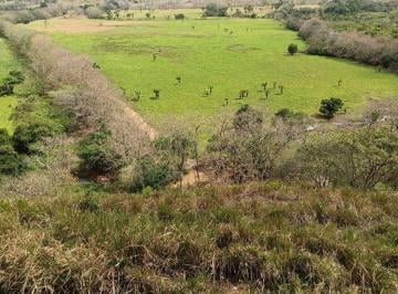Terreno / Lote , Chepo · Vende 360 Has en Chepo Coquira, Para Ganaderïa