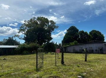 Terreno / Lote , David · Lote Comercial en Alquiler en Calle 7ª, David