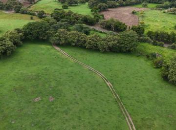 Finca de 1 habitación, Las Tablas · Se Vende de 9.8 Ha en Las Tablas Via El Uverito
