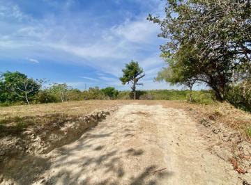 Terreno / Lote , San Carlos · Terreno Rural de 4.800 m², Proyecto Ideal