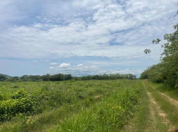 Terreno / Lote , Santiago · Santiago, Vendo Finca de 269 Hectáreas