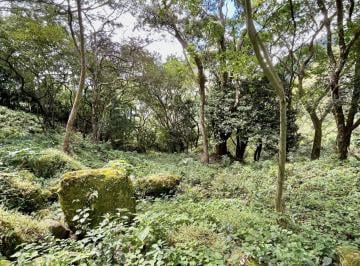 Terreno / Lote , Chame · Terreno Para Construcción en Venta en Altos del María – Comunidad Cerrada con Vistas a Las Montañas