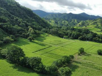 Terreno / Lote , Tonosí · Cambutal Village – Lote 5 – Terreno Residencial en Venta con Vistas Al Océano