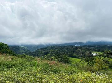 Terreno / Lote , Dolega · Terreno de 1 Hectárea en Venta en Potrerillos, Chiriquí – Terreno Plano, Vistas a Las Montañas
