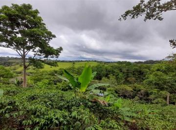 Terreno / Lote , Renacimiento · Hermosa Finca de Café en Venta en El Distrito de Renacimiento, Provincia de Chiriquí, Panamá