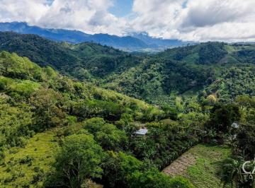 Terreno / Lote , Renacimiento · Terreno de 11,792.65 m² en Venta en Renacimiento, Chiriquí - Vistas a Las Montañas y Plantas de Café
