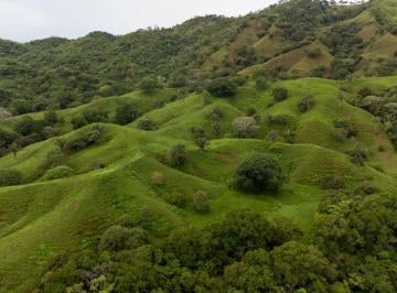 Terreno / Lote , Tonosí · Enorme Finca de 402 Acres en Venta en El Centro de Cambutal, Los Santos