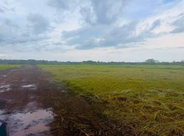 Terreno / Lote · 1176m² · Venta Lote en Antón Área Fresca Tu Proyecto Empieza Aquí 600 m²
