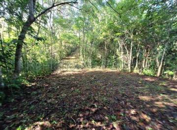Terreno / Lote , Panamá · Venta Terreno Colón