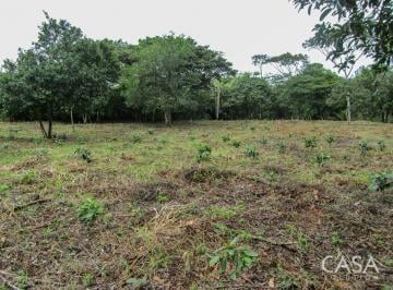 Terreno / Lote , Penonomé · Lote de 5,791 m² en Venta en Toabré, Penonomé, Coclé