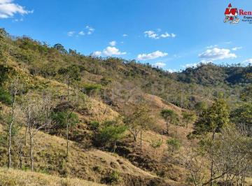 Terreno / Lote , Panamá · Finca Agrícola en La Miel, Las Tablas Ys