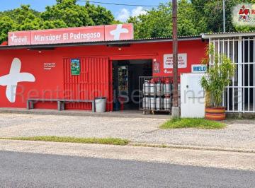 Local comercial , Panamá · Propiedad Residencial y Comercial en Venta en Pesé Ys