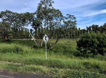 Terreno / Lote , Chame · Quebradas de Cabuya. Terreno 1232 m Titulado Seguridad $45,000.00neg