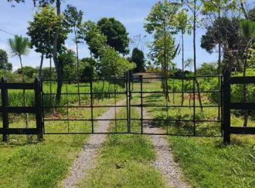 Finca · 60000m² · Vendo 6.6 Ha de Terreno en Siogui