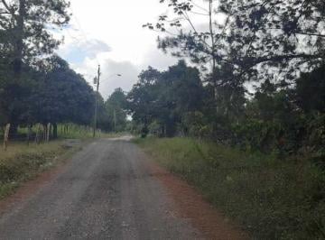 Terreno / Lote · 10000m² · Vendo 01 Hectarea en Potrerillos Abajo