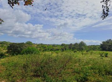 Apartamento · 250m² · 3 Recámaras · Venta de Finca Poblado Llano en Calobre