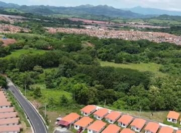 Terreno / Lote , La Chorrera · Terreno de 20 Hectáreas en La Mitra, La Chorrera