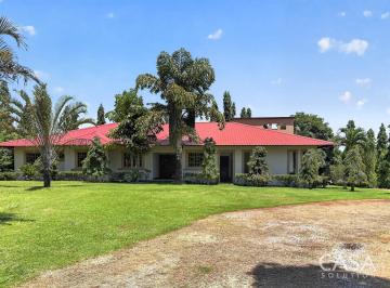 Casa 3000m² Venta San Pablo Viejo · Casa de 4 Habitaciones en Venta en San Pablo Viejo, Chiriquí – 3,000 m² de Terreno