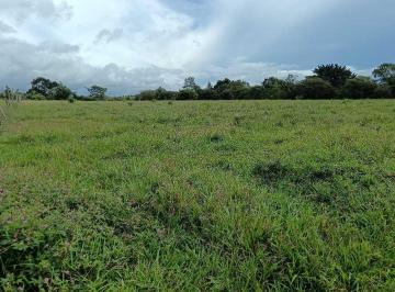 Finca · 60000m² · Vendo Seis Ha Potrerillos Abajo