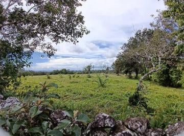 Terreno / Lote · 40000m² · Vendo Cuatro Ha