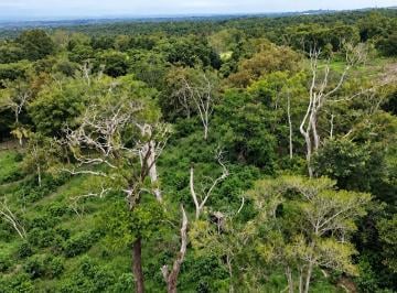 Terreno / Lote , Boquete · Oportunidad de Inversión: Finca Cafetalera de 14.55 Acres en Boquete a - 0163