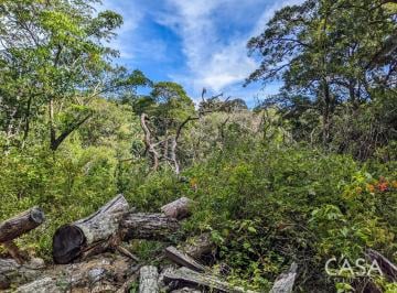 Terreno / Lote , Boquete · Terreno de 4,330 m² en Venta en Palmira, Boquete con Vistas a Las Montañas y Arroyo