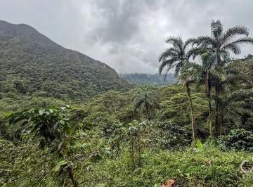 Terreno / Lote , Santa Fe · Finca de Café de 29 Hectáreas en Venta en Santa Fe, Veraguas, Panamá