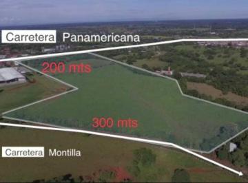 Terreno / Lote · 170000m² · Vendo Terreno Comercial Coquito David