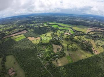 Finca · 703322m² · Finca de Palmas Aceiteras en Venta - Aserrío de Gariché, Chiriquí
