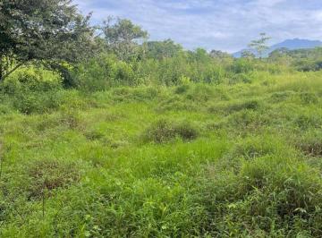 Terreno / Lote , Dolega · Venta de Terreno en Chiriquí, Las Cañas 5,500 m², Acceso Sobre La Vía Hacia Boquete