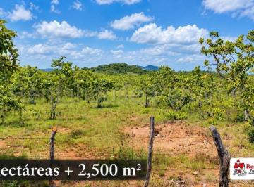 Terreno / Lote , Panamá · Finca Agropecuaria en Venta en Calobre Ys