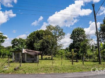 Terreno / Lote , Bugaba · Terreno en Venta en Bijugual, Bugaba, con Quebrada y Árboles Frutales