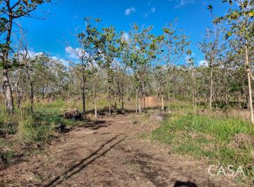Terreno / Lote , Boquete · 22.2 Hectáreas en Venta en El Francés, Panamá – Frente a La Carretera Principal Hacia Boquete