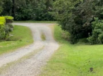 Terreno / Lote , Dolega · Terreno de 1.28 Acres con Árboles Maduros en Venta en Potrerillos, Dolega