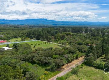 Terreno / Lote , Dolega · Terreno de 1.28 Acres con Árboles Maduros en Venta en Potrerillos, Dolega