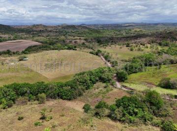 Finca · 94ha - Rentahouse Brokers de Panama · Venta - Terreno de 94.75 Hectáreas | 100 % Mecanizable | Agua Todo El Año. Algarrobos, Veraguas
