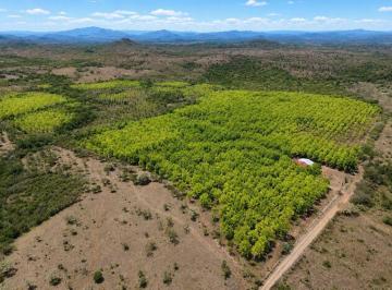 Terreno / Lote , La Mesa · Finca de 36.4 Hectáreas en Veraguas | Potencial Agropecuario, Forestal E Industrial