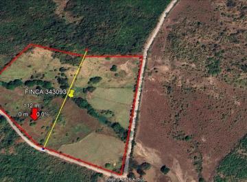 Finca · 80000m² · Terreno 8.96 Ha El Otoal, Natá