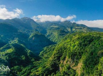 Terreno / Lote , Boquete · Reducción de Precio! Terreno Fértil con Plantas de Café y Vistas a Las Montañas en Palmira, Boquete
