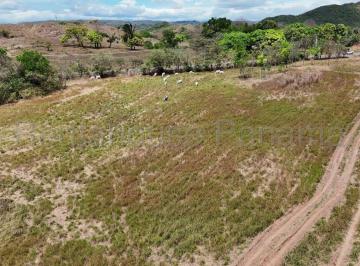 Terreno / Lote , Río de Jesús · Venta - Finca de 60.7 Hectáreas en Venta | Las Peñitas, Río de Jesús, Veraguas