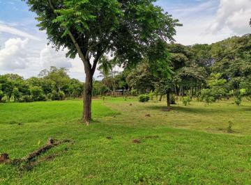 Terreno / Lote , Chame · Se Vende Finca con Alto Potencial en Bejuco. Chame