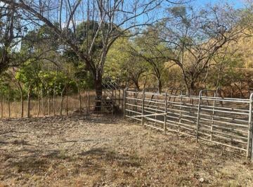 Terreno / Lote , Pedasí · Se Venden 32 Has en La Via de Agua Buena de Pedasí (Orio Arriba)