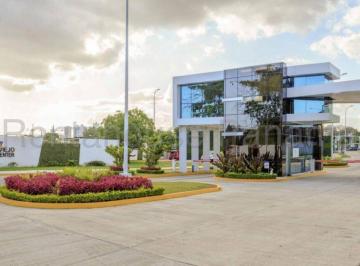 Bodega-Galpón-Depósito , Panamá · Galera en Alquiler Lista Para Operar en Panama Viejo