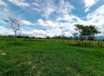 Terreno / Lote , Boquete · ¡Ganga en Boquete! Vendo Terreno Us$25 El Metro
