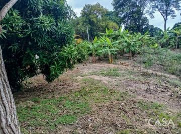 Terreno / Lote , San Carlos · Terreno de 6 Acres Para Desarrollo en Venta en Playa Corona, San Carlos