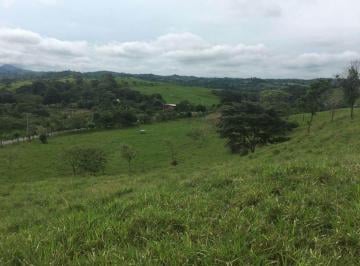 Terreno / Lote , La Chorrera · Venta de Terreno en Chorrera Abs